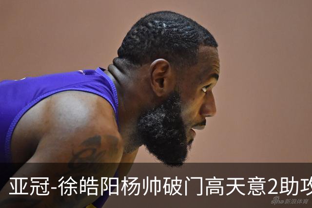亚冠-徐皓阳杨帅破门高天意2助攻 申花2-1淡滨尼流浪者